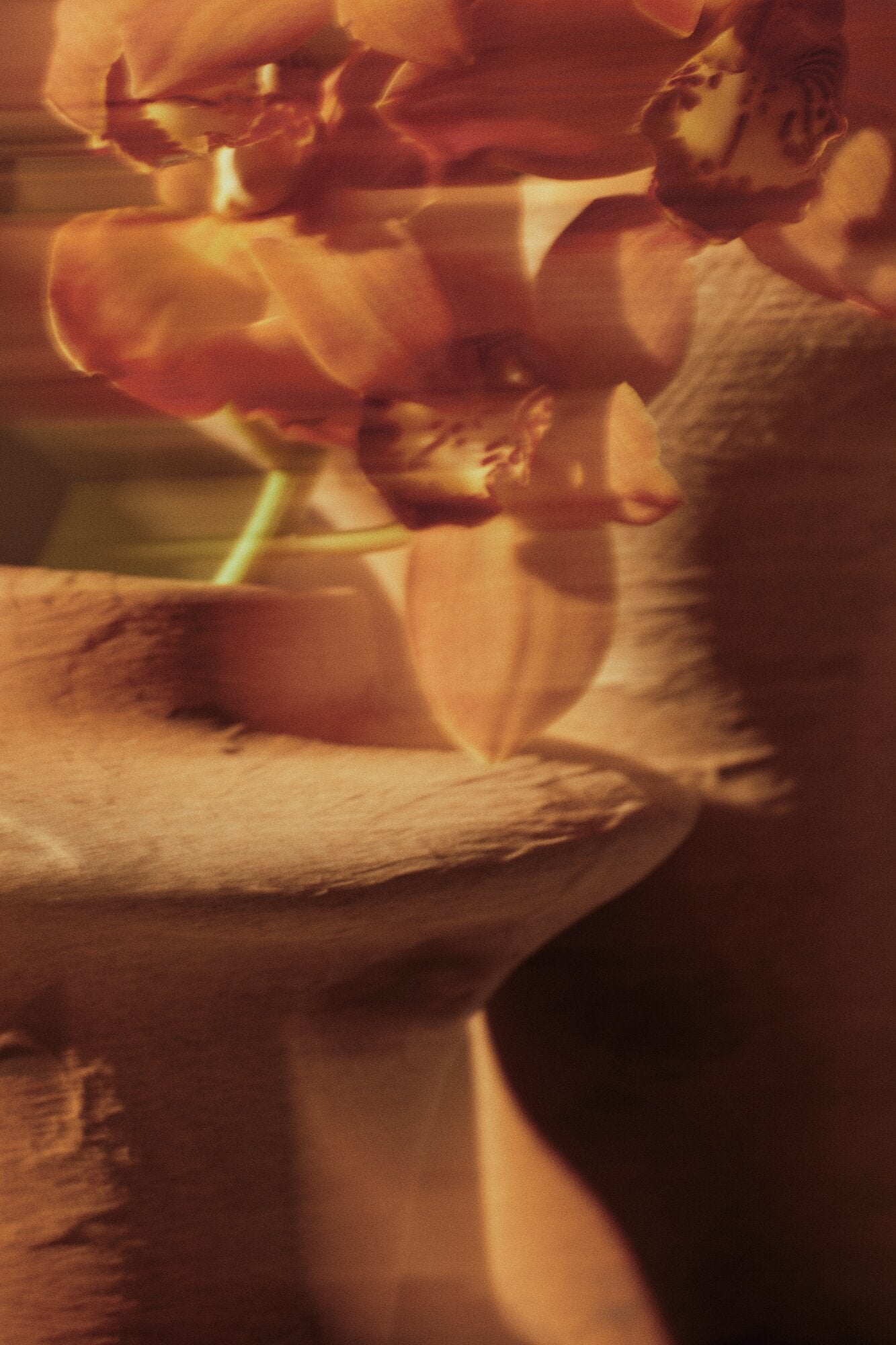 Evio vase, H22 cm - Burnt Umber